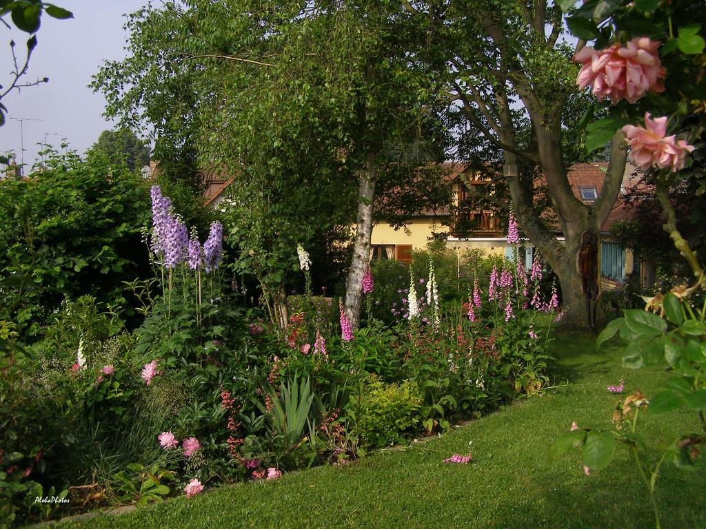 Gite Des Hortillonnages Camon  Exterior foto